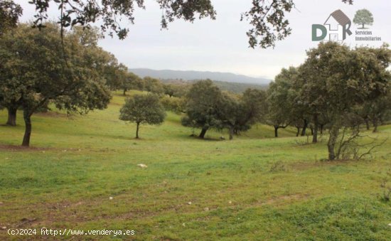 Solar en venta en Cáceres (Cáceres)