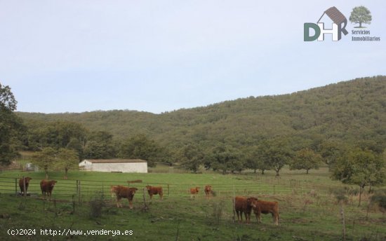 Solar en venta en Cáceres (Cáceres)