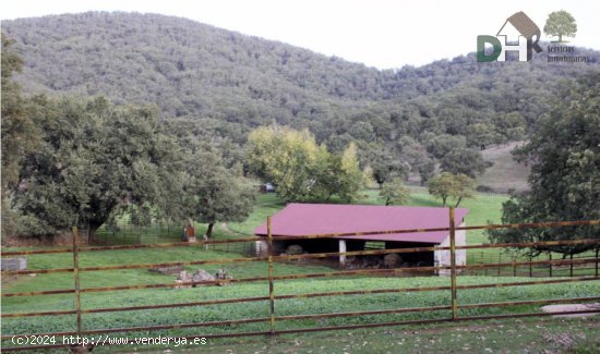 Solar en venta en Cáceres (Cáceres)