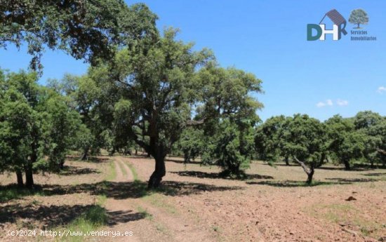 Solar en venta en Badajoz (Badajoz)