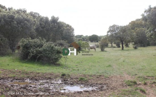 Solar en venta en Salamanca (Salamanca)