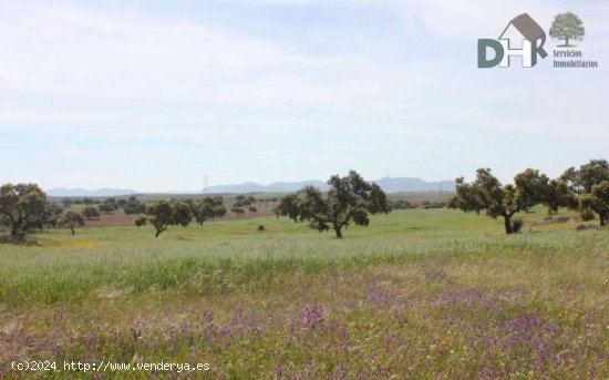 Solar en venta en Badajoz (Badajoz)