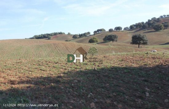 Solar en venta en Sevilla (Sevilla)