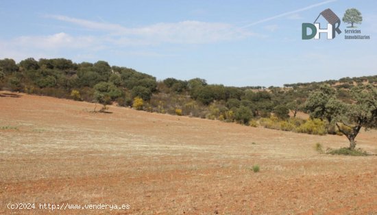 Solar en venta en Badajoz (Badajoz)