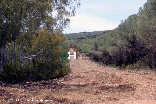 Solar en venta en Ciudad Real (Ciudad Real)