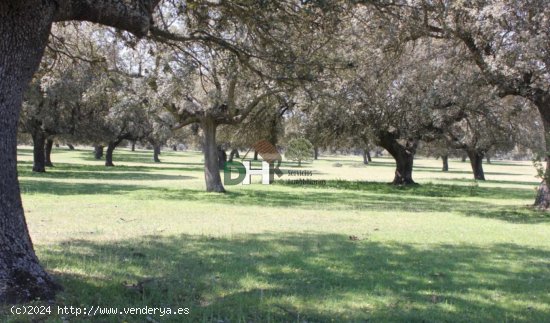 Solar en venta en Salamanca (Salamanca)