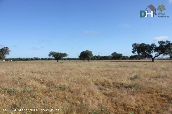 Solar en venta en Badajoz (Badajoz)