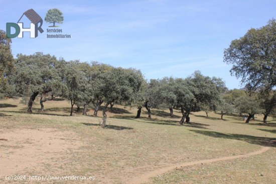 Solar en venta en Badajoz (Badajoz)