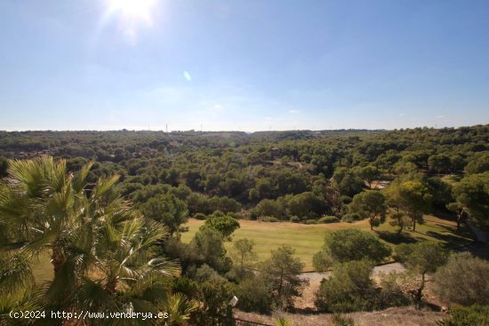 Finca en venta en Orihuela (Alicante)