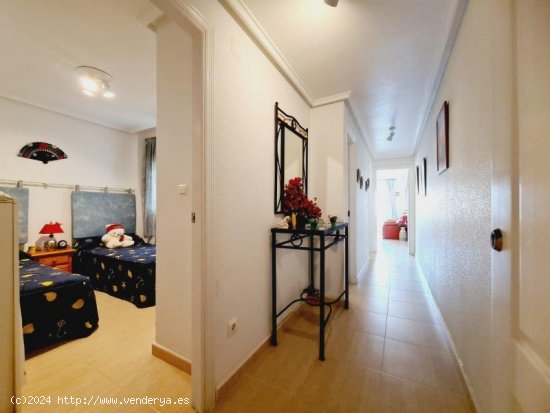 Apartamento en venta en Torrevieja (Alicante)