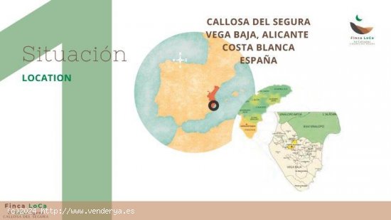 Finca en venta en Callosa de Segura (Alicante)