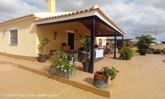 Local en venta en San Javier (Murcia)