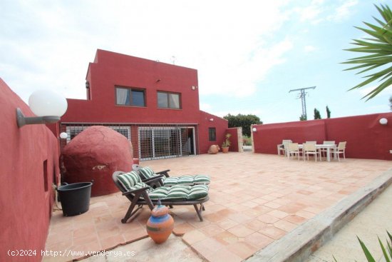 Finca en venta en Orihuela (Alicante)