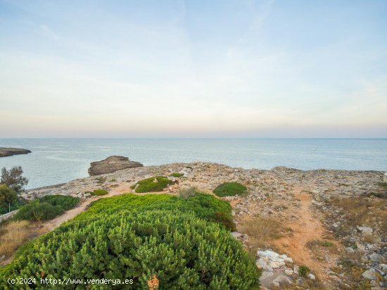  Solar en venta en Santanyí (Baleares) 