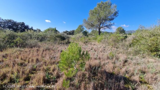 Solar en venta en Sa Pobla (Baleares)