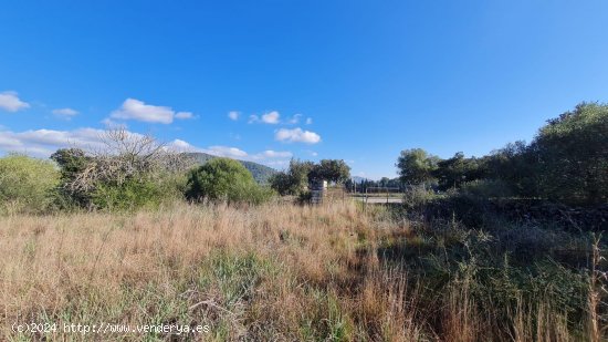 Solar en venta en Sa Pobla (Baleares)