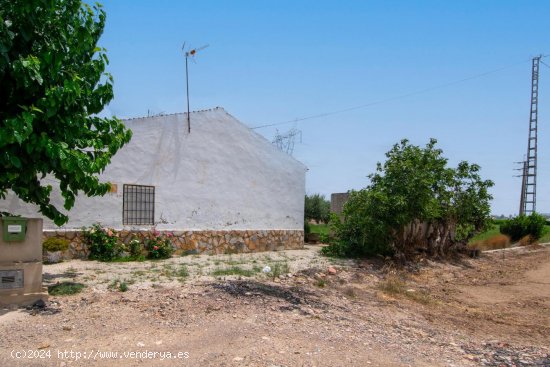 Casa en venta en Orihuela (Alicante)