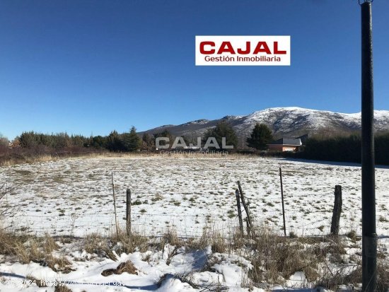 Parcela en venta en Riaza (Segovia)