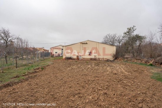 Parcela en venta en Corral de Ayllón (Segovia)