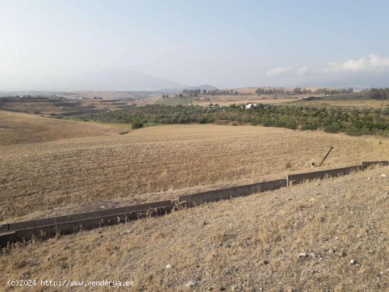 Finca en venta en Cerralba (Málaga)