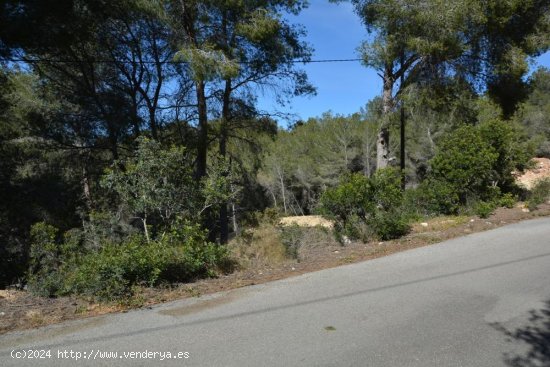 Solar en venta en Jávea (Alicante)