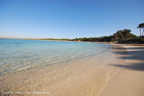  Villa en alquiler en Colonia de Sant Jordi (Baleares) 