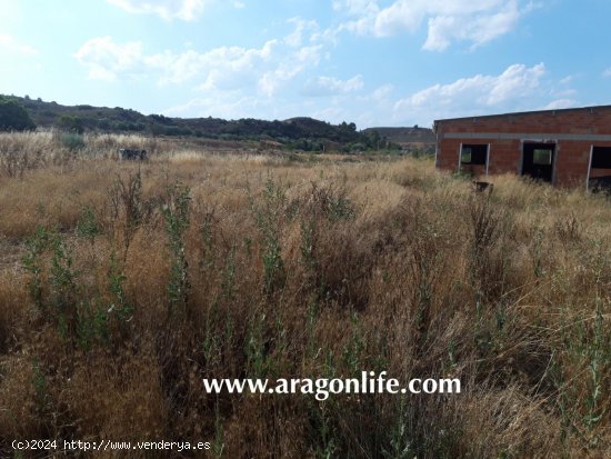 Finca en venta en Fabara (Zaragoza)