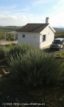 Finca en venta en Alozaina (Málaga)