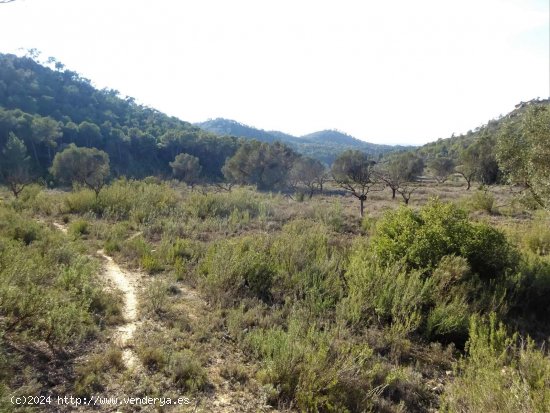 Finca en venta en Fabara (Zaragoza)