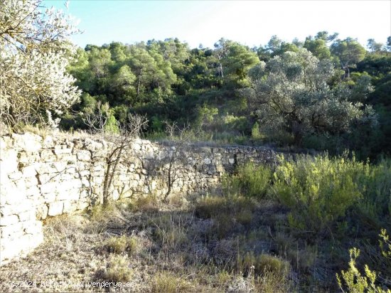 Finca en venta en Fabara (Zaragoza)