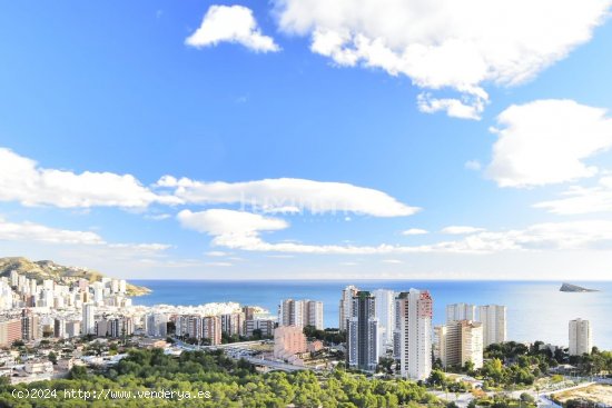 Apartamento en venta en Benidorm (Alicante)