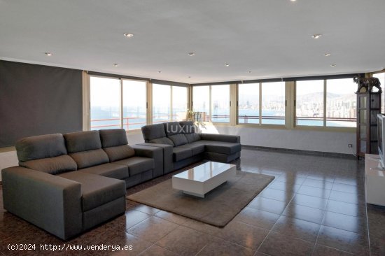 Apartamento en venta en Benidorm (Alicante)