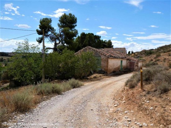 Finca en venta en Maella (Zaragoza)