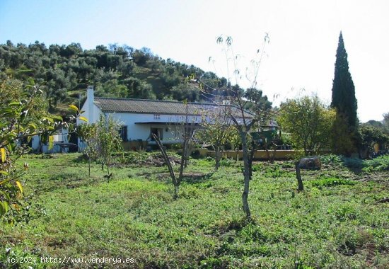  Villa en venta en El Gastor (Cádiz) 