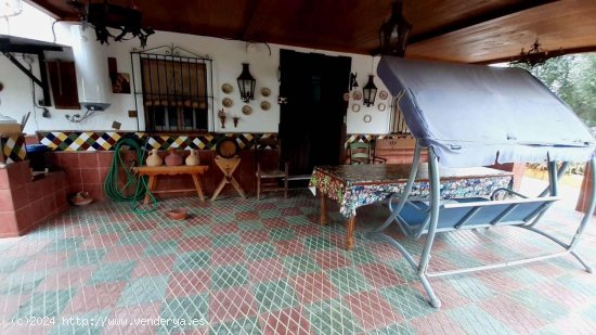 Finca en venta en Ronda (Málaga)