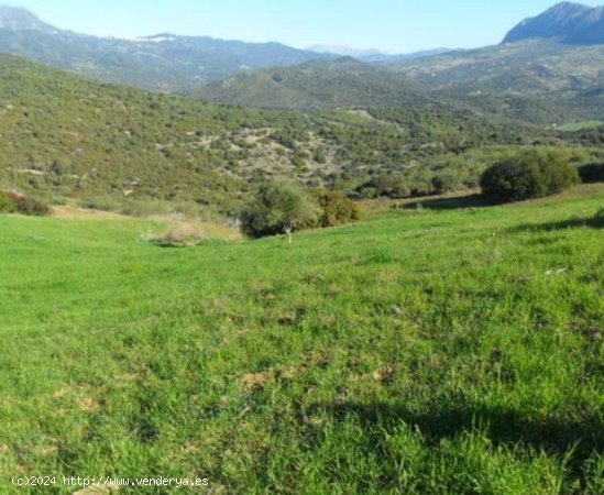 Finca en venta en Casares (Málaga)