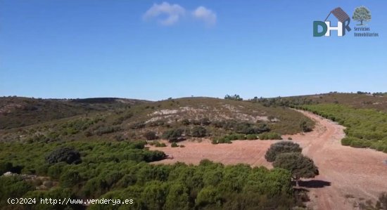 Solar en venta en Ciudad Real (Ciudad Real)