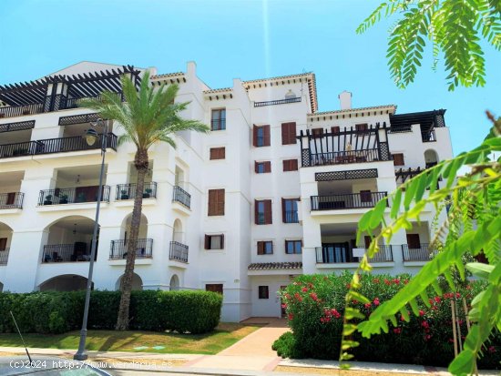 Apartamento en alquiler en Murcia (Murcia)