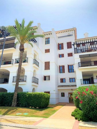 Apartamento en alquiler en Murcia (Murcia)