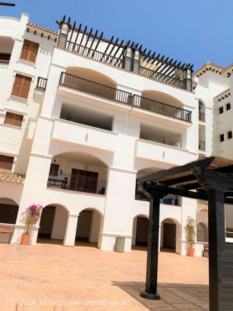 Apartamento en alquiler en Murcia (Murcia)