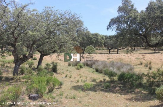 Solar en venta en Cáceres (Cáceres)