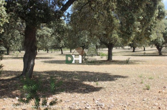 Solar en venta en Cáceres (Cáceres)