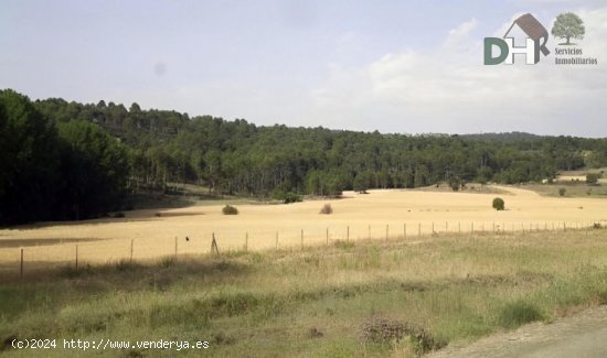 Solar en venta en Cuenca (Cuenca)