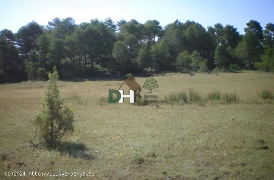 Solar en venta en Cuenca (Cuenca)