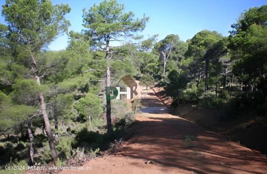 Solar en venta en Cuenca (Cuenca)