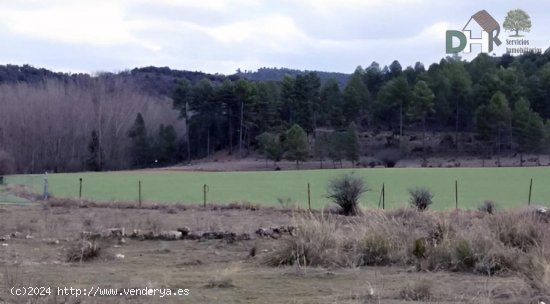 Solar en venta en Cuenca (Cuenca)