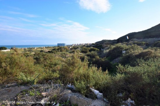 Solar en venta en Guardamar del Segura (Alicante)