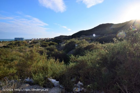 Solar en venta en Guardamar del Segura (Alicante)