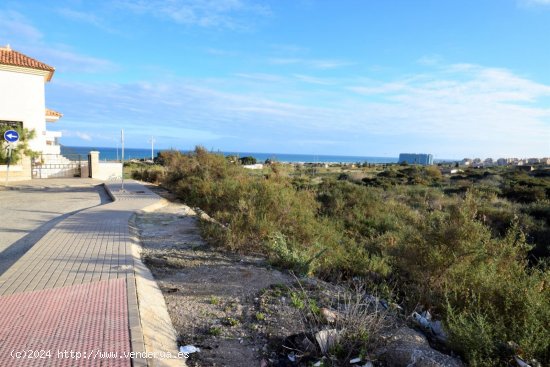 Solar en venta en Guardamar del Segura (Alicante)