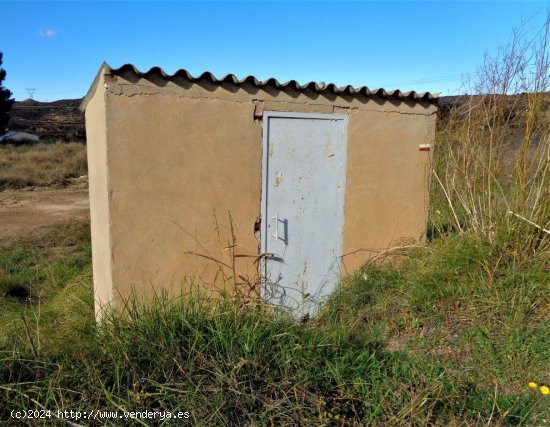 Finca en venta en Caspe (Zaragoza)